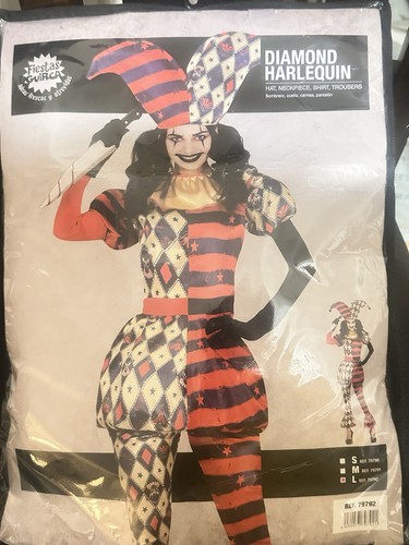 Costume giullare arlecchino - costume,